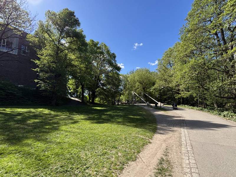 中午,河邊公園的小路。