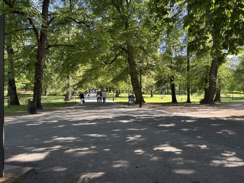 公園裡的林蔭大道。
