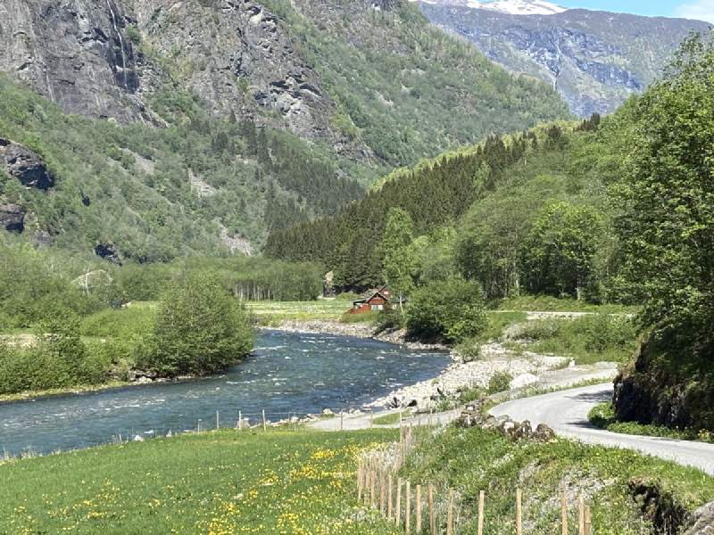 黃花、河和遠處的山谷。