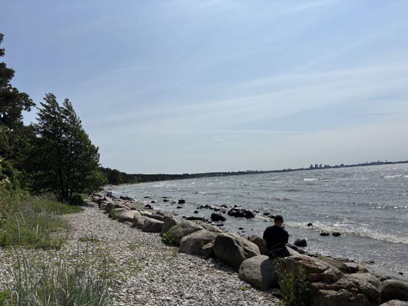 Pirita 一帶的石頭海岸。