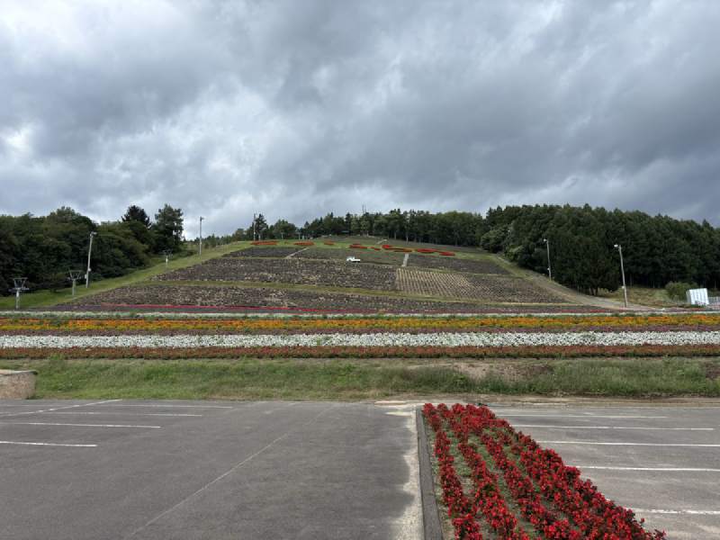 13:53,一層一層的花田。