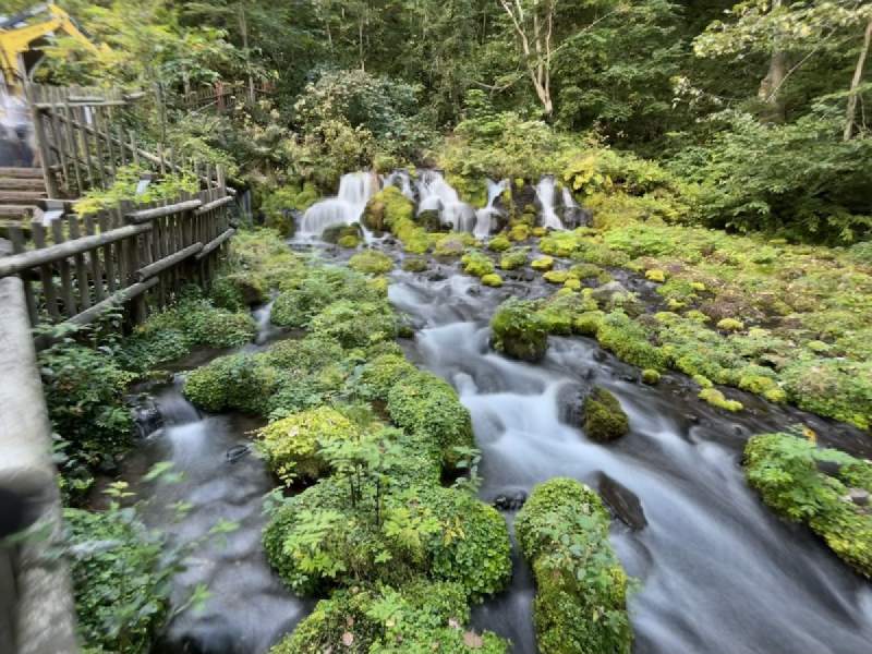 15:17,水從青苔石頭之間湧出來。
