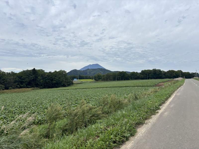 15:10,田野盡頭就是羊蹄山。