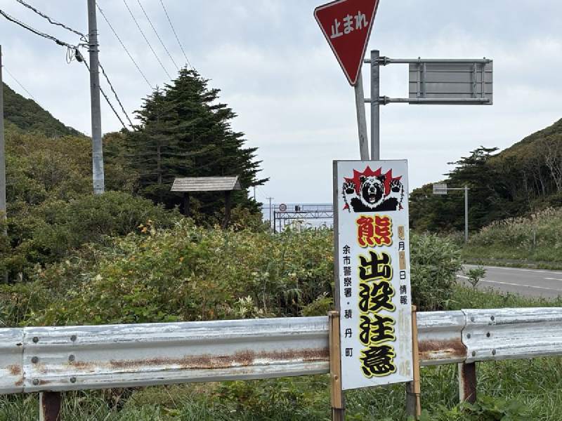 11:44,「熊出沒注意」。