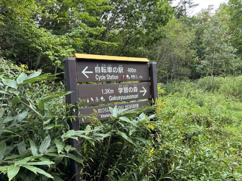 11:17,自行車道上的指標。