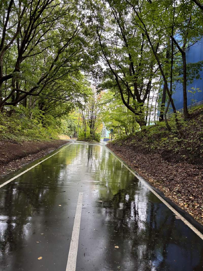 10:41,剛下過雨,路面像鏡子。