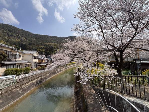 2026 日本——第 3 站 琵琶湖・京都・大阪(ビワイチ北半圈到淀川)