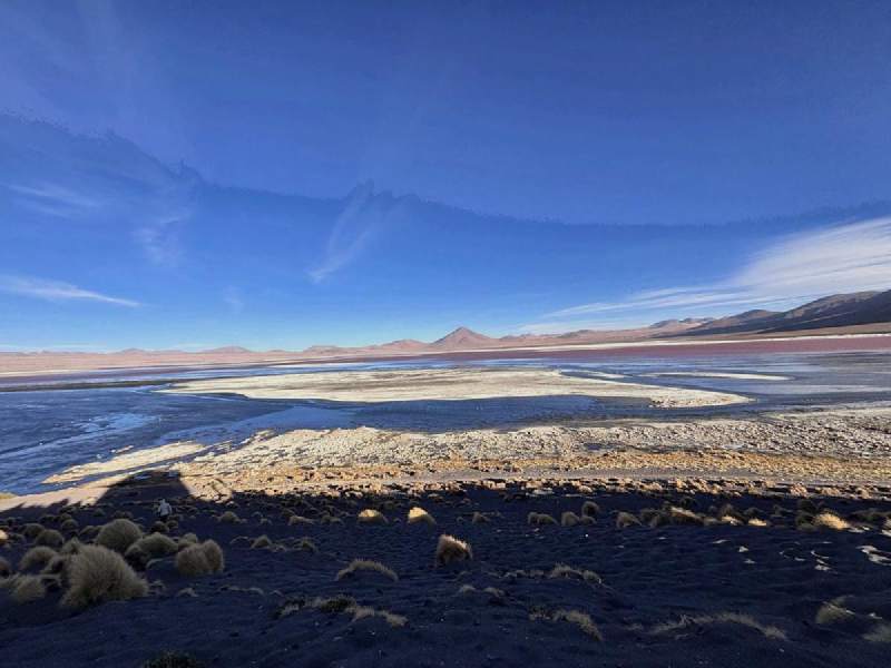 Sud Lípez 高原上的 Laguna Colorada,遠處是火山。